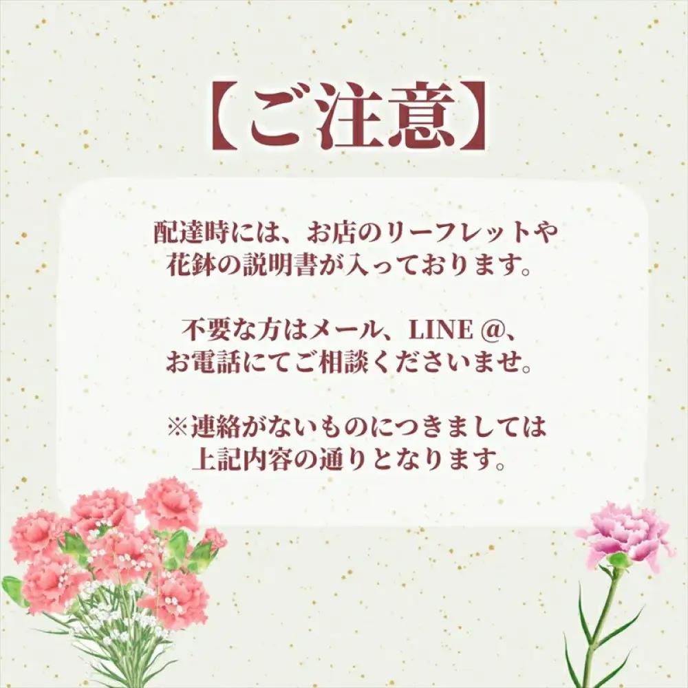【定期便年12回　季節の花鉢】農林水産大臣賞を受賞したフローリストがアレンジする 季節を知らせる花鉢 ｜ 花鉢
