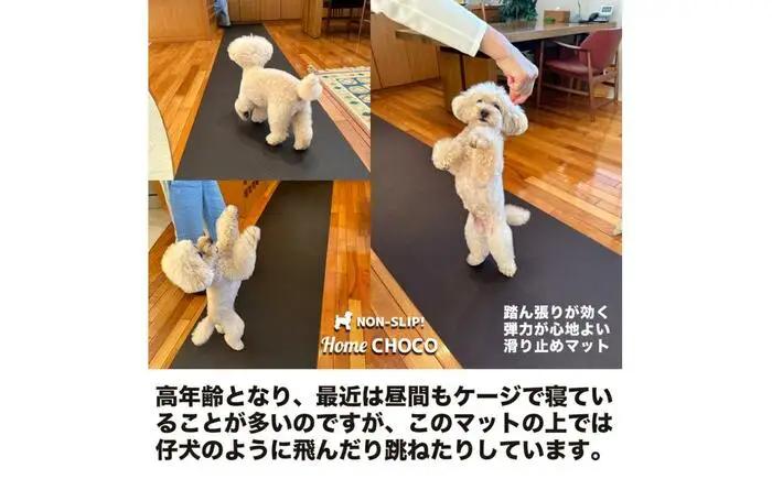 愛犬のための室内用 滑り止めマット HOME CHOCO III［幅70cm×長さ2m］ホームチョコVer.III / ドッグマット ペットマット 【パターマット工房PROゴルフショップ】[ATAG1