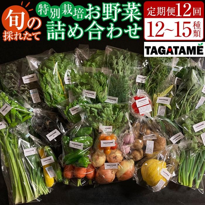 【ふるさと納税】【定期便全12回】旬の採れたて 12～15種類お野菜詰め合わせセット(3～4名様) TAGATAME タガタメ【野菜 特別栽培 有機野菜 農薬不使用 旬 採れたて 香川県 さぬき市】