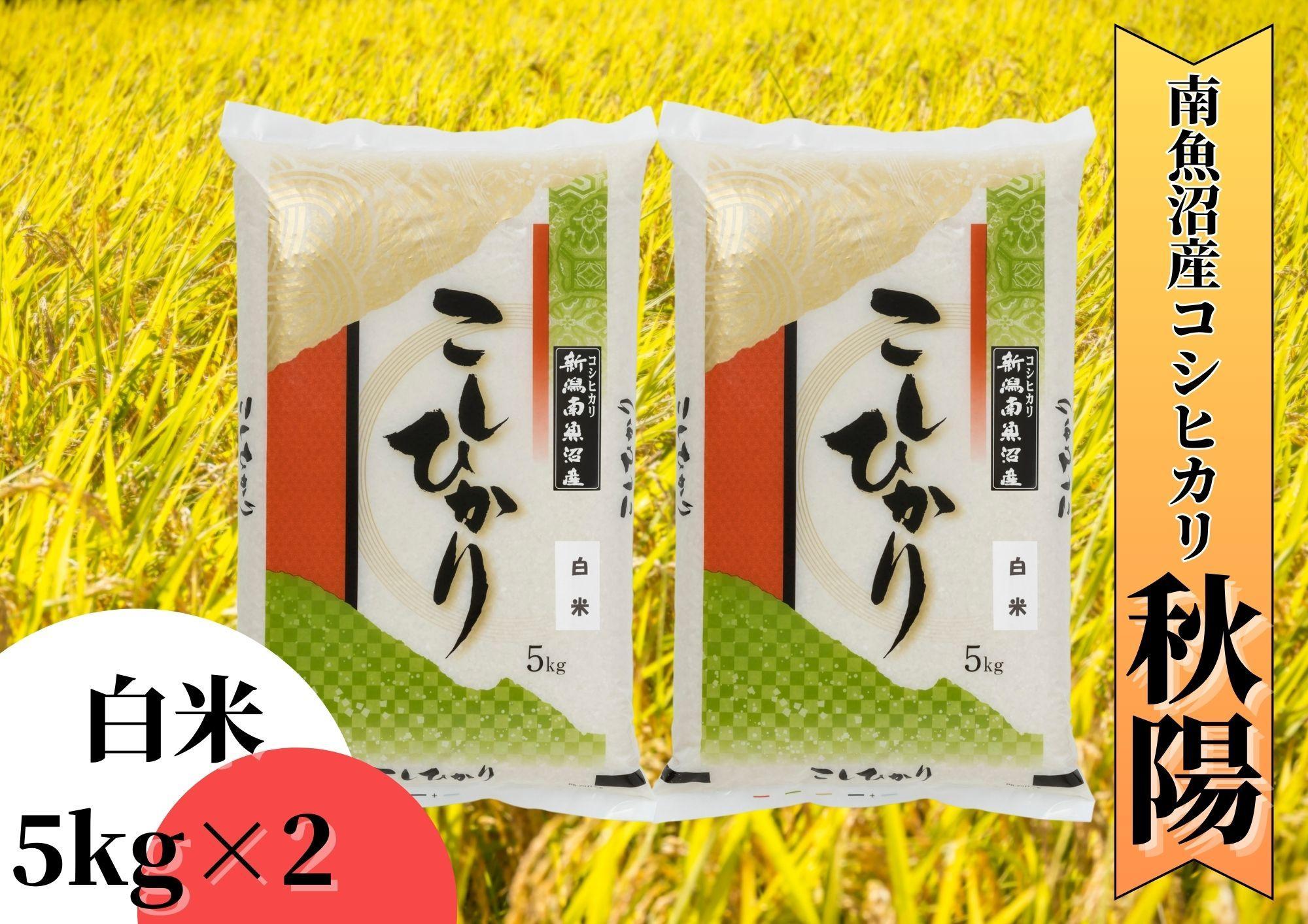 【令和7年産 新米予約】南魚沼産コシヒカリ「秋陽」（白米10kg）新潟県の特A地区南魚沼市の美味しいお米【2025年（令和7年）10月上旬より順次発送予定】【米 お米 こしひかり 南魚沼 米 白米 こ