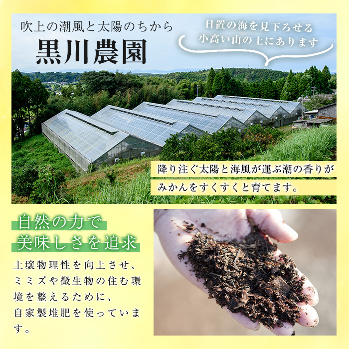 No.148 期間限定！鹿児島県産 グリーンハウスみかん(計3kg) ミ