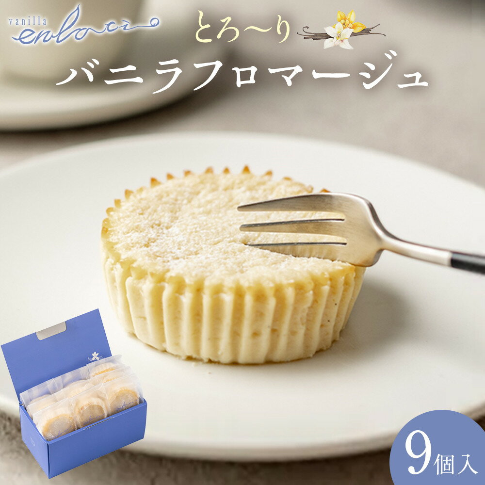 【ふるさと納税】とろーりバニラフロマージュ＜9個入＞ | 西宮 洋菓子工房 濃厚チーズケーキ バニラの香り なめらか食感 人気 おすすめ スイーツ チーズ デザート ギフト お取り寄せ 通販 送料無料 ふるさと納税