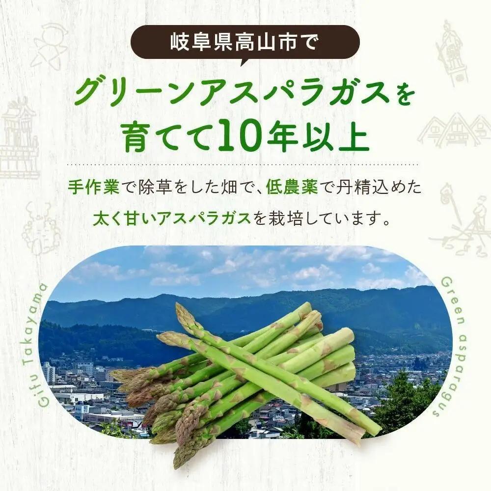 【2026年発送】ひだっこアスパラガス1.5kg |  産地直送 春 夏野菜 アスパラガス CM004VC01
