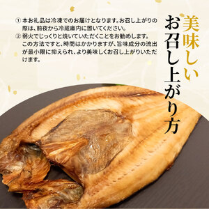 fn-26-011 岩手釜石 こだわり干物詰合せ 永野商店 さんま ほっけ かれい いか イカ さば 鯖 サバ 赤魚