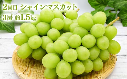 桃とシャインマスカットの定期便（小） 福島の桃 果物 先行予約 フルーツ 桃 モモ もも 葡萄 ブドウ ぶどう 福島県 伊達市 もも モモ momo  くだもの 果実 セット 詰め合わせ 詰合せ 食品