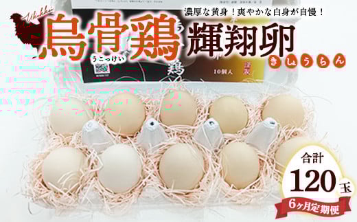 
            【定期便6ヶ月】烏骨鶏　濃厚な黄身！爽やかな白身が自慢！【烏骨鶏輝翔卵】20玉らくらく定期便 ◇ ※離島への配送不可
          