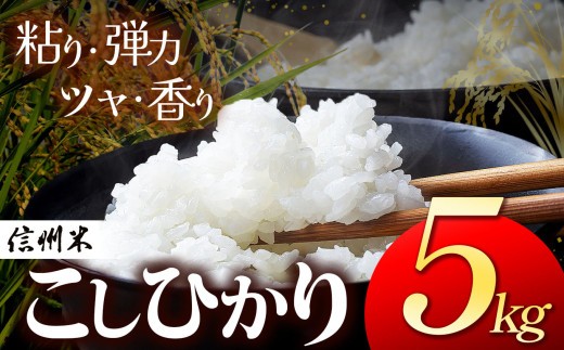 
            上高地清流米 こしひかり 白米 5kg  信州松本産 │信州 松本市 米 お米 コシヒカリ こしひかり アルプス 国産米 長野県産 おすすめ 白米 ふっくら 田畑 農家 ふるさと納税 松本市 美味しい
          
