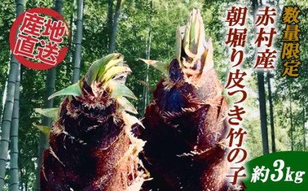 【数量限定】赤村産　朝掘り皮つき竹の子　約３kg S1