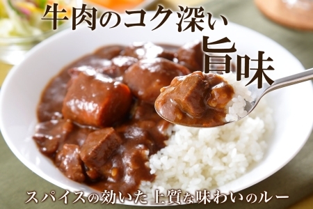 548.ビーフカレー 2個 セット 中辛 牛肉 業務用 レトルトカレー 野菜 備蓄 まとめ買い 北海道 弟子屈町