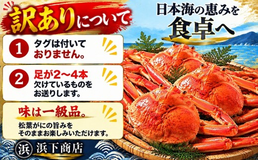 55MZ.■浜下商店■松葉ガニ2～4枚〔浜ゆで〕◆訳あり◆