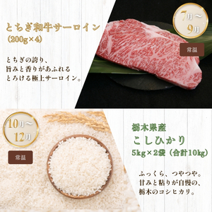 下野市を堪能!!まんぷく定期便4回 | 紅白いちご 100％ｶｼﾞｭｰﾊｲﾋﾟﾝｸGFﾁｭｰﾊｲ缶 栃木県共通返礼品とちぎ和牛サーロイン 栃木県産こしひかり10kg 月ごとに届くものが変わる 送料無料