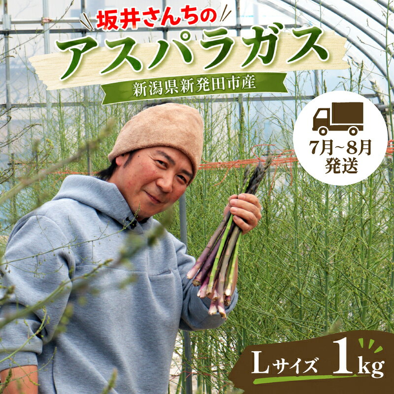【ふるさと納税】 先行予約 アスパラガス Lサイズ 1kg 令和9年産 アスパラ 太い 新潟 新発田 朝採り 新鮮 野菜 アスパラガス 夏野菜 特産品 旬 肉 巻き 朝採れ 産地直送 農家 新潟県 新発田市 坂井ファームフーズ sakai001