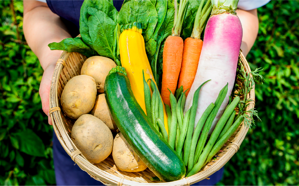 【定期便12回】久万高原 天空の旬野菜便2kg【面河特産品開発センター厳選】｜野菜詰め合わせ 5〜6品目 新鮮野菜 定期便 愛媛県産 産地直送