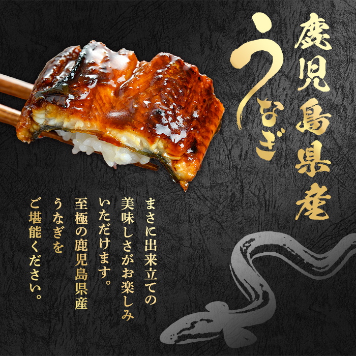 【0124326a-2510】＜10月上旬発送予定＞東串良町のうなぎ蒲焼(無頭)(2尾・計約300g・タレ、山椒付) うなぎ 高級 ウナギ 鰻 国産 蒲焼 蒲焼き たれ 鹿児島 ふるさと 人気【アクア