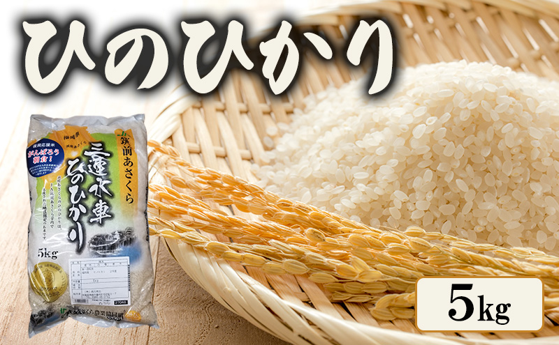 米 ひのひかり 5kg 筑前あさくら農協 お米 ヒノヒカリ