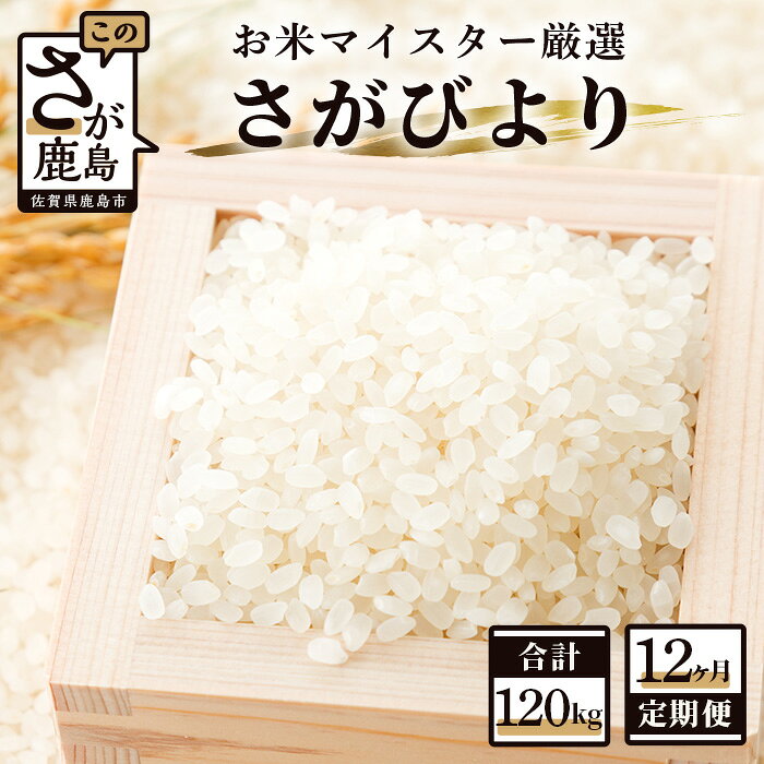 【ふるさと納税】【12ヶ月定期便】佐賀県産 さがびより 白米 10kg×12回 《12ヶ月連続 毎月お届け》 定期便 12か月 合計120kg 合計12回発送 お米 米 精米 国産 佐賀 九州産 佐賀県 鹿島市 送料無料 S-1