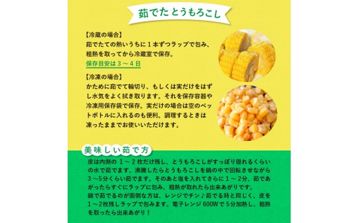 【先行受付】【2027年7月下旬～8月15日頃配送】北海道十勝芽室町 なまら十勝野のスイートコーン ゴールドラッシュ(30本) me001-011-27b／ゴールドラッシュ コーン とうもろこし 生 
