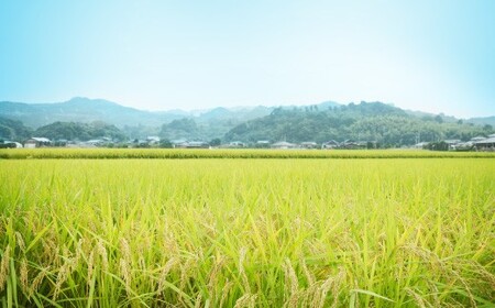 D4  【隔月6ヶ月定期便】【令和7年産】 隔月届く国際大会金賞「みやま米」 各2kg×2袋