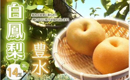 白鳳梨（豊水）3L  14玉 ※お届けは9月上旬から9月中旬頃の予定です【hkns0001】