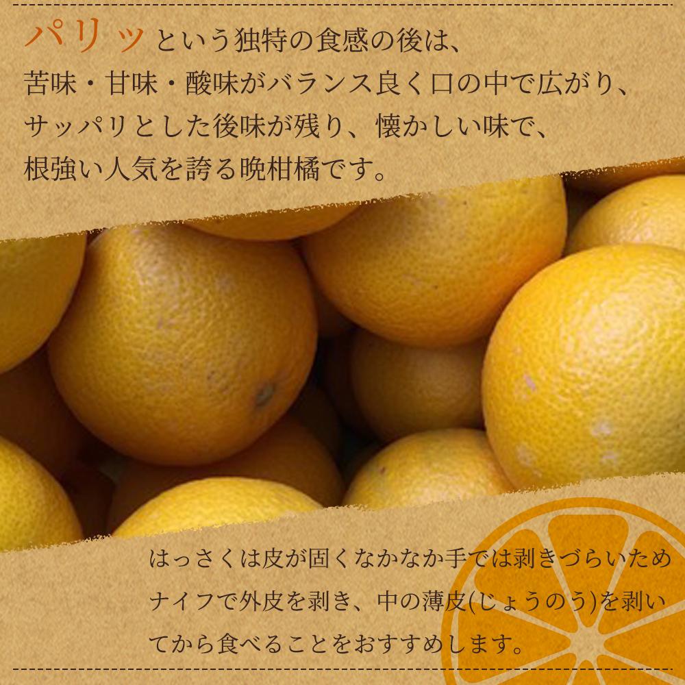八朔（はっさく）約10kg　紀州和歌山 かつらぎ産【2026年2月上旬頃～2026年2月下旬頃に順次発送】【UT19】