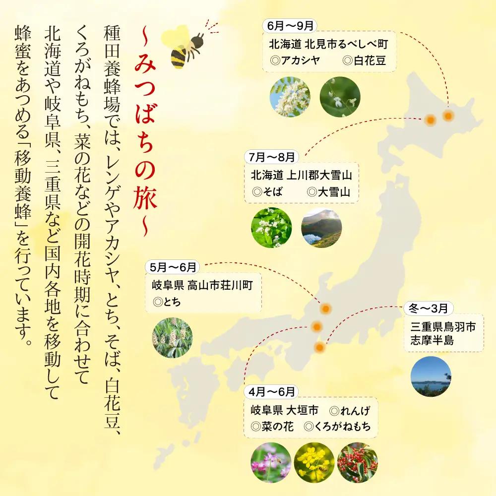 【国産蜂蜜】百花 1200g はちみつ 蜂蜜