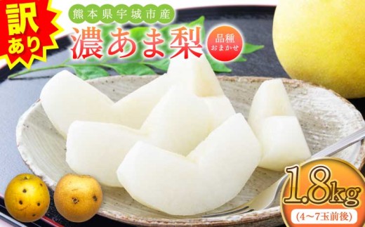 先行予約 訳あり 濃あま梨 約1.8kg 【2026年8月中旬から9月下旬発送予定】 品種おまかせ 梨 なし 秋月 幸水 豊水 新高 秋麗 甘太 和梨 お取り寄せ 冷蔵 国産 九州 熊本県 宇城市 小川町産 農園とフォーク青果店