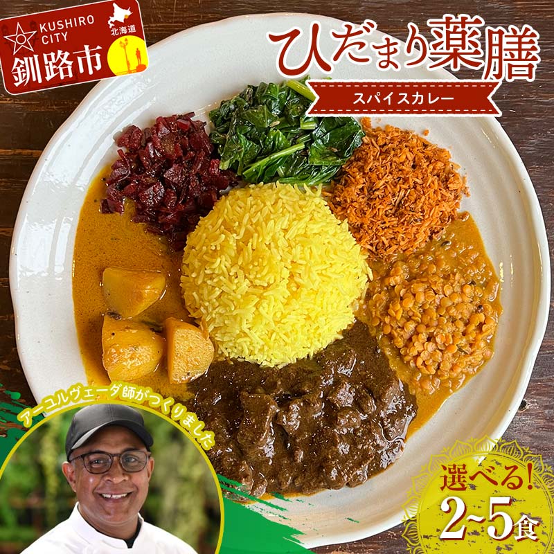 【ふるさと納税】容量 × 発送時期が選べる ひだまり薬膳スパイスカレー 2個〜5個 冷凍 薬膳 スパイスカレー カレー スパイス デトックス 保存食 ジビエ 低糖質 ターメリックライス F4F-2880var