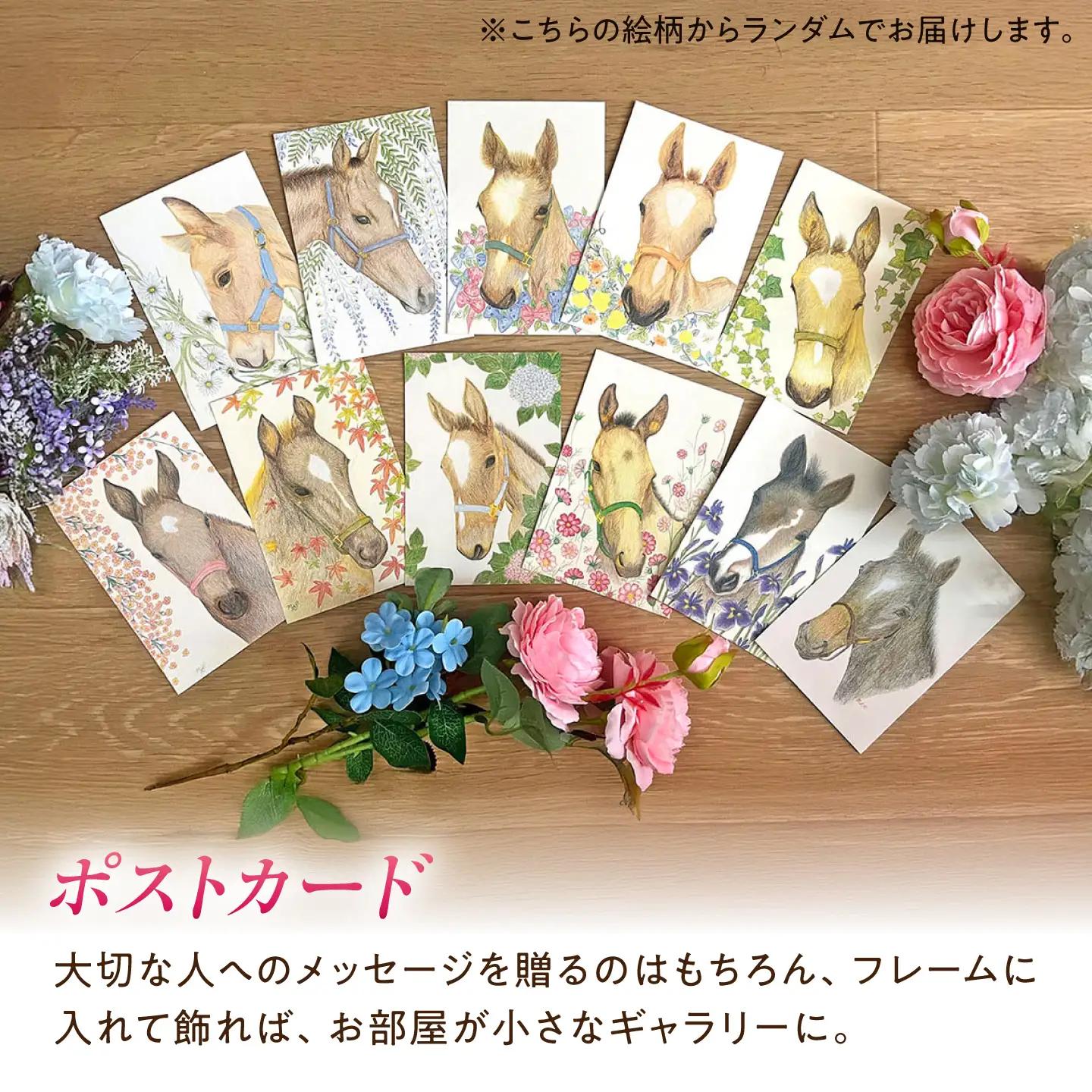 メモ帳 馬と花のステーショナリーセットA BIBN001 メモ帳