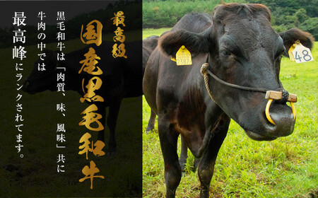 【計１．２キロ】国産黒毛和牛のもつ鍋　味噌味６人前（３人前×２）　もつ鍋一藤