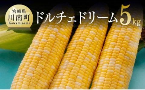2024年発送 朝どれ！ 守部さんちのドルチェドリーム 5.0kg【 とうもろこし スイートコーン トウモロコシ スィートコーン 令和6年発送 】[E6402]