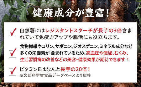 【全6回定期便】自然薯麦とろセット（4人前）＜自然薯王国＞ 那珂川市 定期便 自然薯 とろろ 野菜 健康 個包装 そば お好み焼き 白米 86000 86000円 [GAH010]