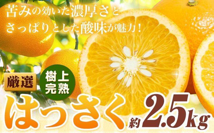 厳選 樹上完熟 はっさく 八朔 みかん 2.5kg＋250g 傷み補償分 池田鹿蔵農園 @日高町《4月上旬-5月末頃出荷》和歌山県 日高町 送料無料 はっさくみかん ハッサク 厳選八朔みかん【配送不可地域あり】---wsh_idn320_4j5m_25_9000_2500g---