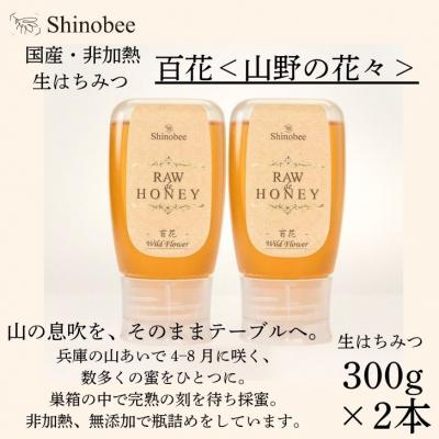 ふるさと納税 宍粟市 国産・非加熱 生はちみつ　2本セット 600g(300g×2本)　百花〈山野の花々〉AS19