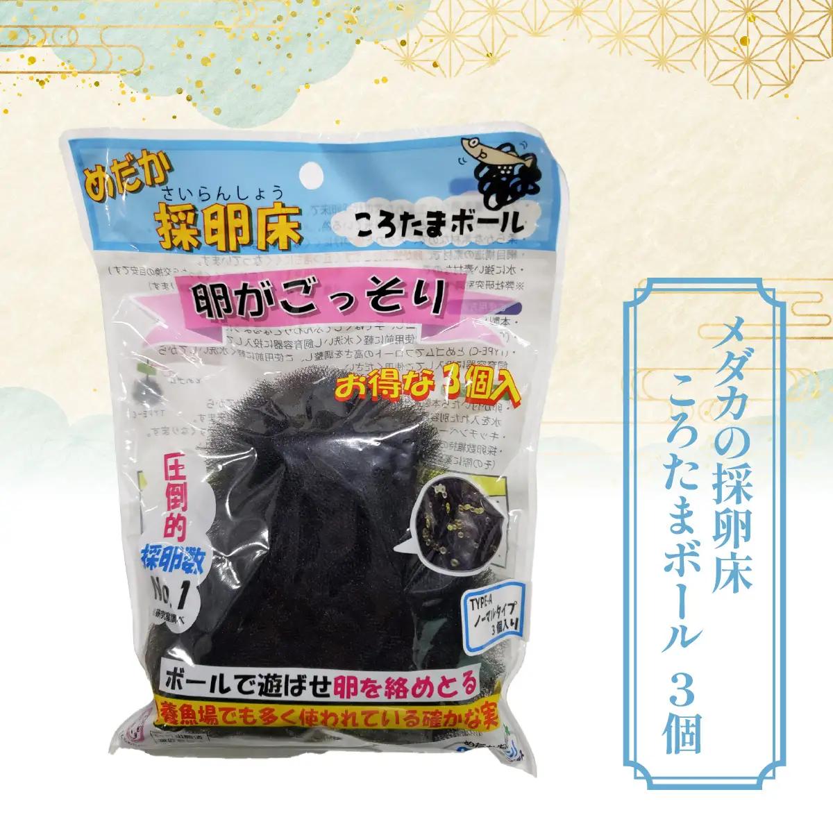 メダカ ミックス10匹セット 生き物生き物 HNNAD004