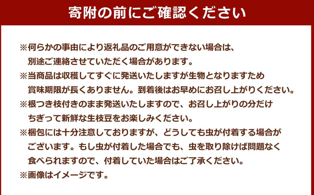 年に1度の青々とした若さをお届け！希少な嘉麻ひすい根付き枝付き 生枝豆 約500g 【2024年10月上旬～10月下旬発送予定】 希少 青大豆 キヨミドリ