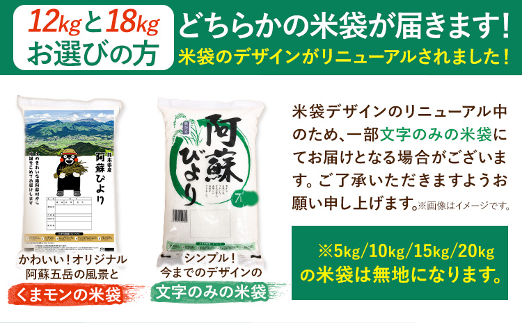 米 白米 訳あり 12kg 6kg×2袋 熊本県産 阿蘇びより《7-14営業日以内に出荷予定(土日祝除く)》 お米 熊本県 南阿蘇村 阿蘇---mna_aby_24_h_12kg_17000_wx--