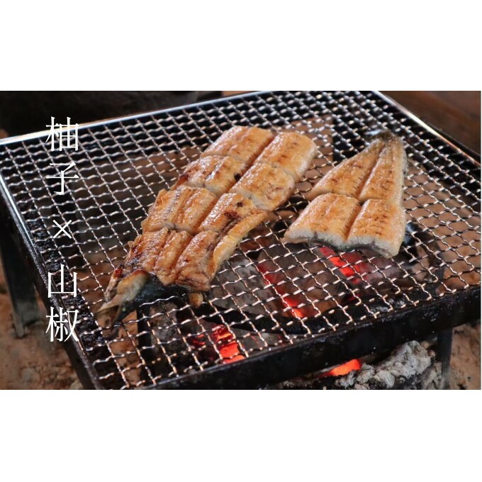 いのや。の3色 柚子胡椒セット（赤・黄・緑 各色60g）【ボックス付】※配送不可：離島 調味料 3種類 贈り物 ギフトボックス 詰め合わせ 食卓 肉料理 魚料理 おかず 味付け 辛味 ピリ辛 食べ比べ