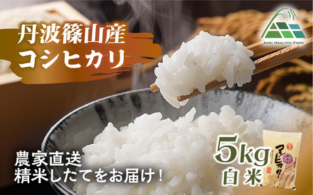 【令和7年産 2025年9月以降順次発送】丹波篠山産コシヒカリ白米5kg BE15 白米 100％単一原料米 産地直送米 贈答 おいしい お米 精米 コシヒカリ ブランド おこめ 健康 ギフト 内祝い 贈り物 送料無料 おすすめ 人気 口コミ