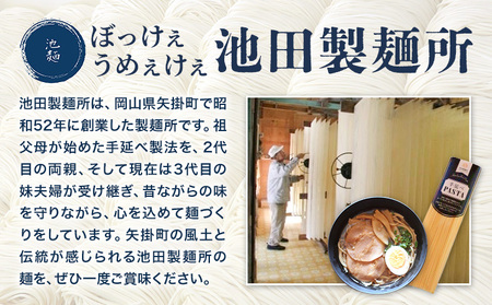 手延べラーメン 12食セット (スープ付き)《30日以内に出荷予定(土日祝除く)》