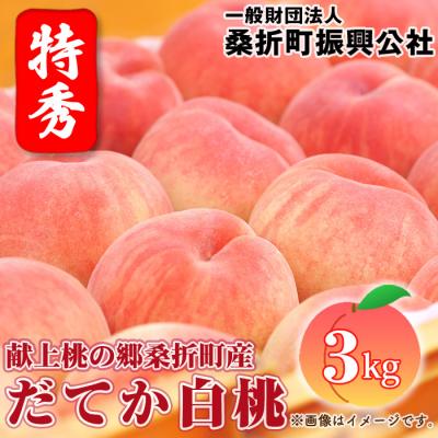 ふるさと納税 桑折町 もも【だてか白桃・2026年産先行受付】特秀3kg(8〜11玉)桑折町振興公社　桃