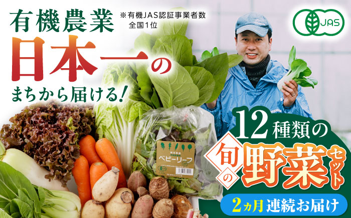 【全2回定期便】四季を味わう野菜セット 熊本県産有機野菜 山都町産有機野菜 産地直送 高原野菜 新鮮有機野菜 採れたて有機野菜 旬 有機野菜セット 有機野菜食べ比べ 九州産有機野菜 有機野菜 オーガニック【株式会社 肥後やまと】 [YAF019]