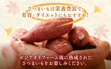 【5ヶ月定期便】“熟成”茨城県産さつまいも【紅はるか】約10kg (茨城県共通返礼品・行方市産）合計約50kg 芋 いも サツマイモ 野菜 やさい 国産