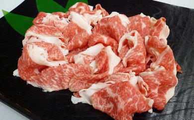 飛騨牛切り落とし 1㎏｜牛肉 和牛 国産 瑞穂市 岐阜県 ※離島への配送不可