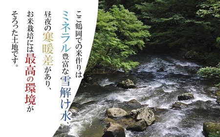 【令和7年産】【定期便】 山形 はえぬき 無洗米 5kg(5kg×1袋)×3ヶ月　山形県鶴岡市産　株式会社菜な八（鶴岡ファーマーズ）
