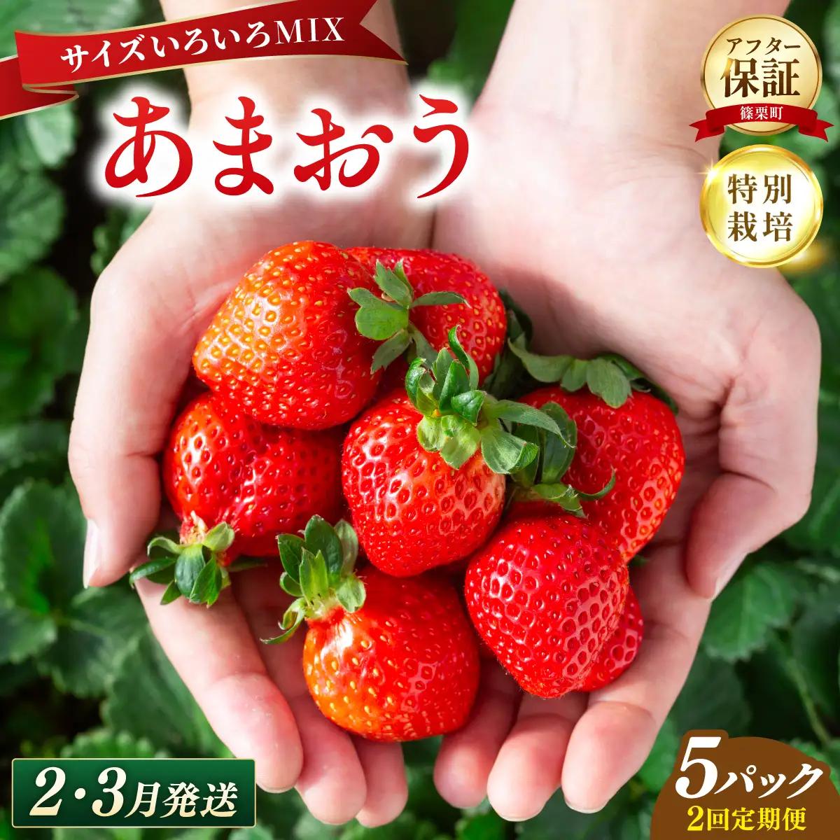 いちご 福岡県産 特別栽培 あまおう サイズいろいろMIX 約1425g（約285g×5パック）【2回定期便（2～３月発送）】