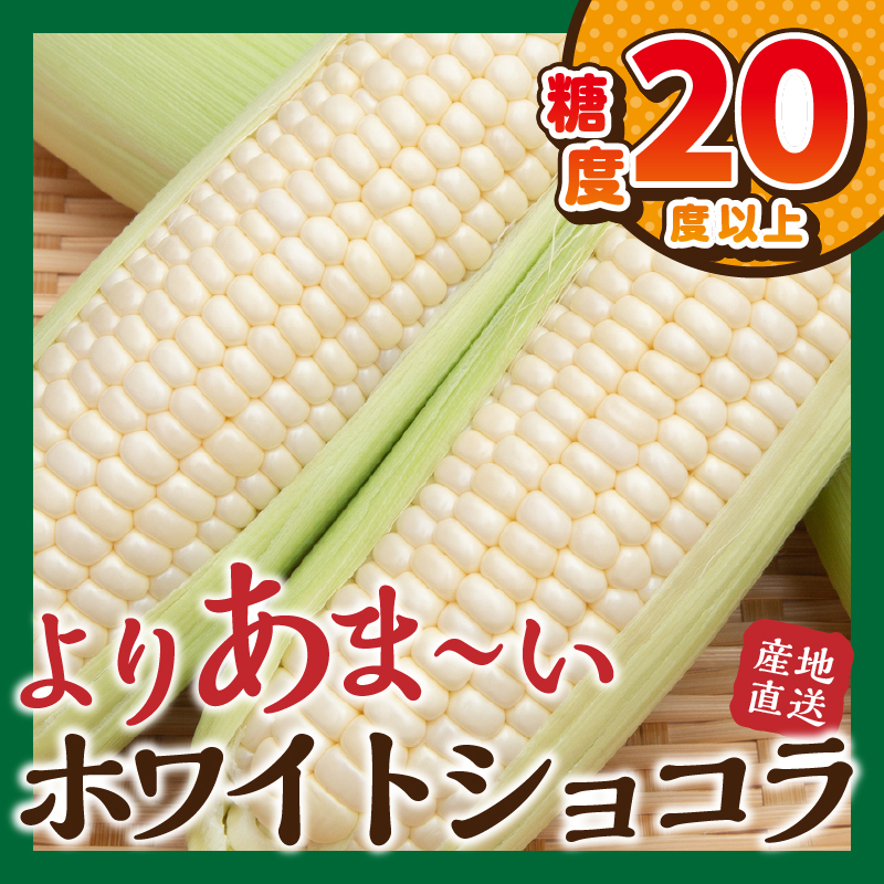 《先行予約》 富士北麓忍野村の気候、水、自然で作られた朝採りトウモロコシ【ホワイトショコラ】2.5kg