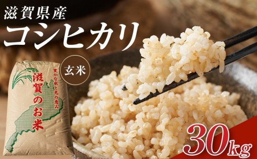 
                  【令和8年産 新米 先行予約】近江米コシヒカリ玄米30kg※2026年9月～発送
                
