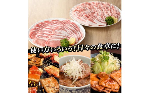6か月定期便 さつま香潤豚 ロース・バラ焼き材用（生姜焼き・豚丼・焼肉）【01-110-27-TK】