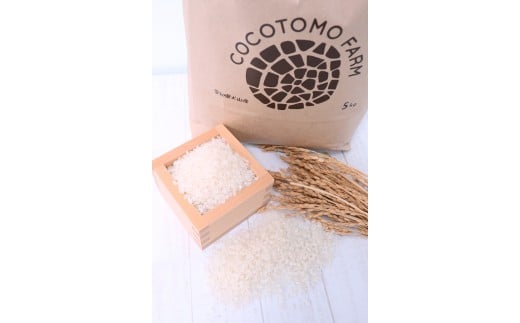 27-9_【お米農家のお米１０kg】つきたてのお米をお届け（５kg×２袋）＊ココトモファームで育てたお米｜米 10kg 10キロ お米 犬山  愛知産 愛知県産 あいちの米 愛知県の特産品 特産品 あいちのかおり 品種 ココトモファーム  つきたて 精米 農家 産地直送