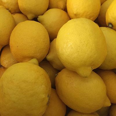 ふるさと納税 那智勝浦町 和歌山県産　レモン　約1kg　秀品 |  | 01